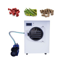 Voedsel Vacuümdroger Vriesdroogmachine Aardbei Droger Cassave Droogmachine Groente Droogoven Fruitdroger