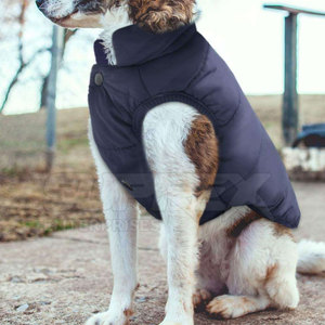 Chaqueta Moderna Ligera y Transpirable para Mascotas, Algodón/Poliéster Ecológico, Tela Cómoda de Alta Calidad, Ropa de Invierno para Mascotas Pequeñas - Product Image 5