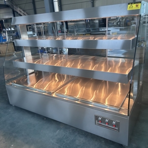 Armoire électrique tout-climat en acier inoxydable pour le service à la <span class=keywords><strong>raclette</strong></span> Schnitzel et à la gaufre belge - Product Image 6