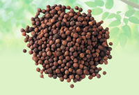 Extrait de plantes Embelia Ribes, graines d'Embelia, graines de Vidanga, extrait à solvant, séché, cru, entier, qualité A+, marque CareQue, vente en gros