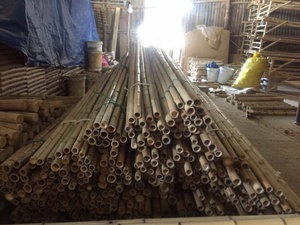 Varas de Bambú Dorado Tratado de Vietnam, Paquete de Varas de 1-10 m de Largo, Sólidas y Gruesas para Agricultura, Construcción y Decoración del Hogar - SAFIMEX - Product Image 6