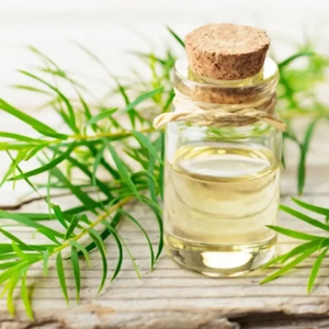 Huile Essentielle d'Arbre à Thé de Qualité Export en Gros, Grade Cosmétique, 100% Naturelle, pour Soins Capillaires, Traitement du Cuir Chevelu et Aromathérapie - Product Image 2