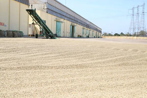 Vietnam Premium High Quality Sealed <b>Zip</b> <b>Bag</b> Pour Wholesale Supply OEM/ODM Service Medium Roast Whole Bean Coffee 250g 100% - Product Image 6