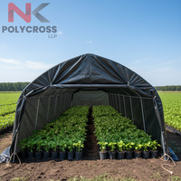 Bâche de serre transparente/translucide pour une luminosité maximale, bâche de couverture de serre de qualité supérieure et favorisant la croissance des plantes