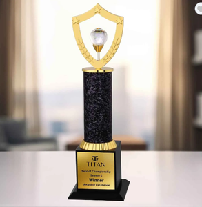 Trophée portable en métal moulé sous pression, design bouclier avec boule de verre, modèle 699, récompense sportive gravée avec base en bois - Product Image 1