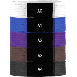 เข็มขัด BJJ พรีเมียม โพลีเอสเตอร์ 100% โลโก้สั่งทำได้ น้ำหนัก 160 กรัม สำหรับผู้ใหญ่ทุกเพศ ฝึกศิลปะการต่อสู้ ทนทาน สีพื้น หลายสีให้เลือก - Product Image 3