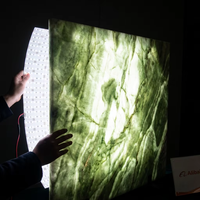 Lámina de Retroiluminación LED Flexible de 24v, Regulable, Ultra Delgada, Diseño de Superficie Curva, para Exhibidores Interiores, con 5 Años de Garantía
