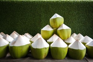 มะพร้าวน้ำหอมสด คุณภาพส่งออกระดับโลก จำหน่ายจำนวนมาก - Product Image 4