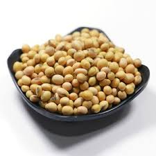 Soja de Primera Calidad al por Mayor para Fabricantes de Alimentos, Aceiteras y Compradores Internacionales - Product Image 1