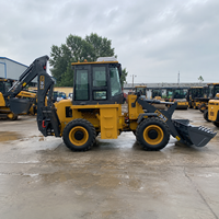 Vente flash : Chargeuse-pelleteuse d'occasion WZ30-25 avec moteur puissant