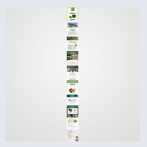 Fournitures de beauté en gros, K-Beauty coréen, comprimés de Chlorella 300mg x 500 comprimés, quantité pour 1 mois - Product Image 5