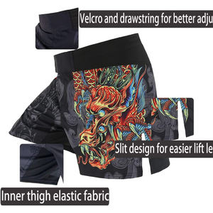 2026 Custom Boxing Shorts for Men-Lightweight Quick Dry Breathable Spandex/<b>Nylon</b> <b>Fabric</b> for Fighting & Training Low Price - Product Image 2