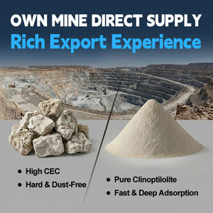 Fornecimento em Grande Escala de Pó de Zeólita Natural Clinoptilolita para Avicultura - Absorve as Substâncias Nocivas do Ração - Product Image 3