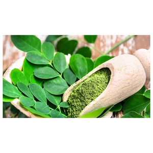Poudre de feuilles de Moringa de qualité alimentaire, à texture fine et couleur verte naturelle, à prix raisonnable - Product Image 3