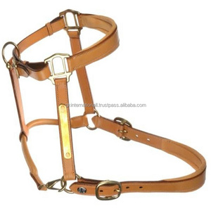 Cabestro de caballo de cuero tostado hecho a mano de la más alta calidad, doble costura y relleno, Halter de carreras de caballos con placa de identificación personalizada - Product Image 1