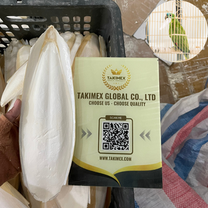 2024 gros os de seiche fabricant de nourriture pour animaux de compagnie jouet du Vietnam magasin de reptiles os de sépia - Product Image 6