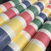 Bâche en PE de haute qualité pour la construction industrielle, imperméable et résistante à l'humidité, en matière première LDPE, pour échafaudages