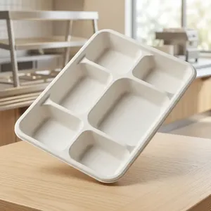 Top Selling 6CP Meal Tray <b>Pulp</b> Moulded Disposable Eco Friendly Compostable Food Container for Catering and Private Label - Product Image 1