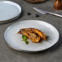 Assiettes de Présentation en Porcelaine Grise Yayu pour Sushi, Steak et Plats d'Accompagnement – Vente Directe Usine, Vente en Gros pour l'Europe