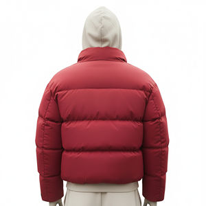 Blouson matelassé rouge pour homme avec capuche et fermeture éclair, manteau d'hiver imperméable brodé, chaud et isolé, tendance - Product Image 3