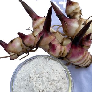 Amidon de marante naturel de qualité supérieure à prix compétitif, fabriqué au Vietnam - Product Image 2