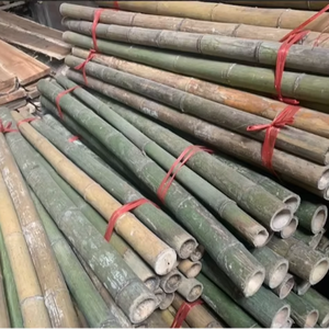 Pôles en bambou durables et éco-responsables, adaptés à l'agriculture, à la fabrication de meubles, à la décoration intérieure et aux projets hôteliers. - Product Image 4