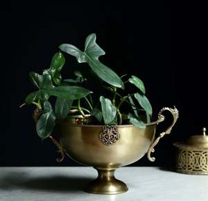 Hecho de latón, puedes guardar frutas en él, usa como maceta o simplemente colócalo de forma independiente donde su brillo subtil será suficiente. - Product Image 4