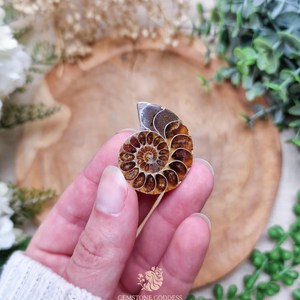 Amonita, Piedra Preciosa Suelta, Forma Espiral Marrón, Piedra Orgánica Pulida, para Joyería, Sanación, Reiki, Meditación, Manifestación - Product Image 2