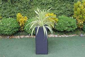 Modern Outdoor Rattan <b>Planter</b> <b>Box</b> with 3 Inner Pots for Garden Green Plants - Product Image 4