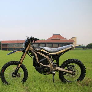 SurRon 2025 Hyper Bee Mini pour enfants, moto électrique tout-terrain, moto EBike pour enfants et adolescents - Product Image 1