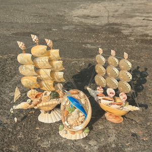 Vietnam Mix Seashell For Enhancing Garden Textures And Providing Natural Ocean Aroma To Any Home From 99 Gold Data - Product Image 3