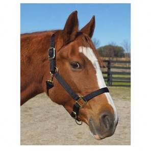 Handcrafted Comfortable Nylon Horse Riding <b>Halter</b> PP Material - Product Image 1