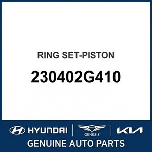 Nouveaux pistons et segments G70 230402G410 - Product Image 1