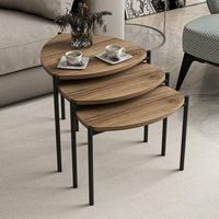 Table gigogne moderne en fer écologique avec plateau en bois personnalisable pour salon, ensemble de meubles de décoration industrielle minimaliste