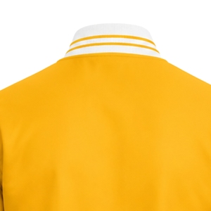 Blouson Bomber en Satin pour Femme Sigma Gamma Rho avec Poignets Côtelés et Fermeture Éclair – Vêtement Décontracté de Sororité, Tendance, Personnalisable avec Logo - Product Image 4