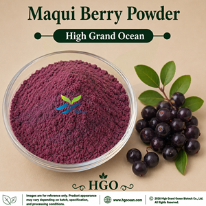 Suministro Directo de Fábrica HGO de Polvo de Baya de Maqui Puro y Natural (Grado Alimenticio), Polvo de Fruta Secado por Aspersión o Liofilizado - Product Image 1