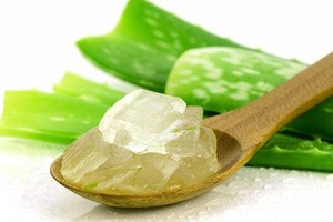 MATERIA PRIMA DE JELLY DE ALOE VERA CONGELADO DE ALTA CALIDAD PARA BEBIDAS - Product Image 6