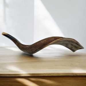 Cuerno de Shofar Kosher Pulido |   Corneta Religiosa Real Touch de Uttar Pradesh |   Chofar Judío - Product Image 6