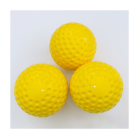 Ballon de hockey sur gazon personnalisé pour joueurs adultes, haute qualité, plastique rigide, couleur personnalisable, marques rouges, sports RMS-HB-07 personnalisé