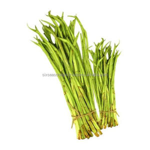 Feuilles de Taro Vertes Fraîches Qualité Export Feuilles de Colocasia Légumes Feuillus Biologiques pour la Cuisine Fournisseur en Gros - Product Image 6