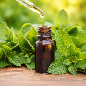 PREMIUM QUALITY PEPPERMINT OIL / ORGANIC NATURAL ESSENTIAL OIL FOR SPA AND PERSONAL CARE PRODUCTS/ MS. ALINA - Product Image 2