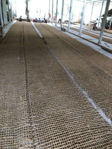 Vietnam Wholesale Natural Coconut Coir Mesh for <b>Soil</b> Erosion Control | Biodegradable Coir Net Mat for Agriculture & Landscaping - Product Image 4