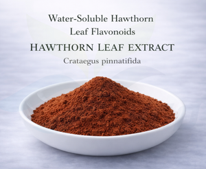 Approvisionnement direct d'usine HGO d'extrait de feuille d'aubépine naturel pur (Crataegus pinnatifida) flavonoïdes de feuille d'aubépine solubles dans l'eau - Product Image 6