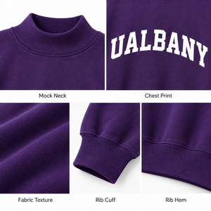 Sweat-shirt à col roulé violet pour femme, imprimé lettres UALBANY, manches longues, en coton tricoté, coupe ample, tenue décontractée d'automne - Product Image 5