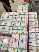 Vietnamese witte drakenvrucht – Schoon, vers, perfect voor Indiase supermarkten
