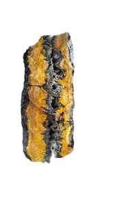Piedra en Bruto de Jaspe Bumble Bee, Jaspe Natural de Indonesia - Product Image 2