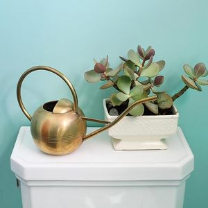 Arrosoir en métal pour plantes, arrosoir décoratif de jardin, arrosoir artisanal en métal pour plantes avec long bec verseur, pour l'intérieur - Product Image 2