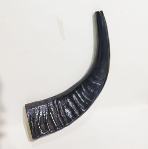 Awesome Quality Buffalo <b>Decorative</b> Horn Best Price 100% Natural Showpieces Houseware Best Gifts At Lowest Price - Product Image 6