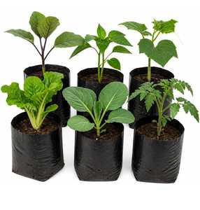 Bolsas de Cultivo de Plástico Negras, Reutilizables, Verticales, con Orificios de Drenaje para Vegetales y Flores, 20 Litros, Duraderas y Transpirables - Product Image 2