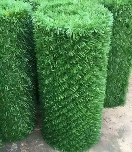 <span class=keywords><strong>Malla</strong></span> <span class=keywords><strong>de</strong></span> Alambre Verde para Jardín <span class=keywords><strong>de</strong></span> 16 mm, Valla Económica en Venta, <span class=keywords><strong>Malla</strong></span> <span class=keywords><strong>de</strong></span> Alta Calidad <span class=keywords><strong>de</strong></span> 45 * 45 mm, Valla <span class=keywords><strong>de</strong></span> Césped Artificial Disponible - Product Image 5